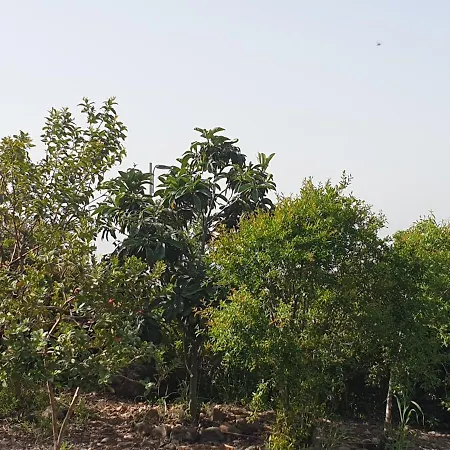 Villa אביב יחידות אירוח Gonen Exterior foto