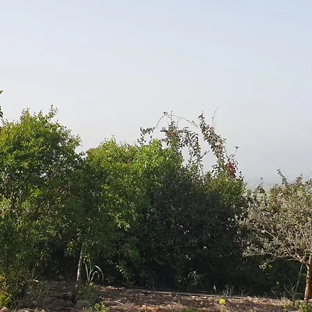 Villa אביב יחידות אירוח Gonen Exterior foto