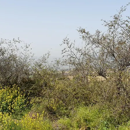 Villa אביב יחידות אירוח Gonen Exterior foto