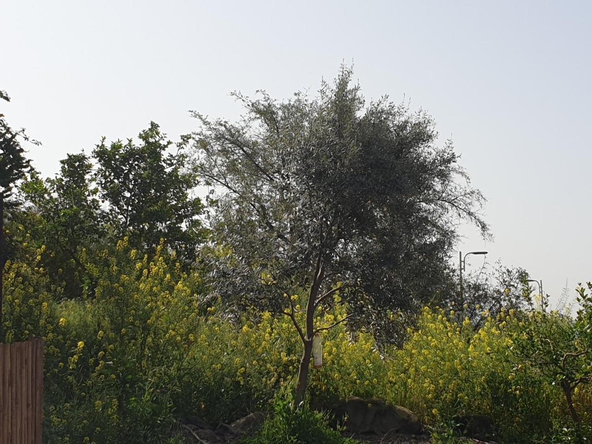 אביב יחידות אירוח Ferienhaus *